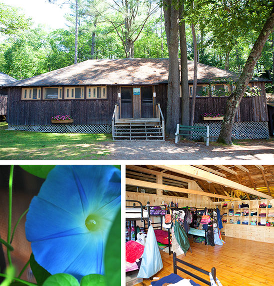 The Crystal House, bunk interior, and one of the many flowers that adorn the bunks.